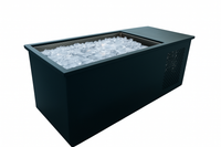 Cold Plunge Tub Built for Recovery, 316L Stainless Basin, 1.0 HP Chiller, UV-C Filtration, 37°F Cooling